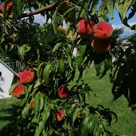 Casa Victoria Penzion