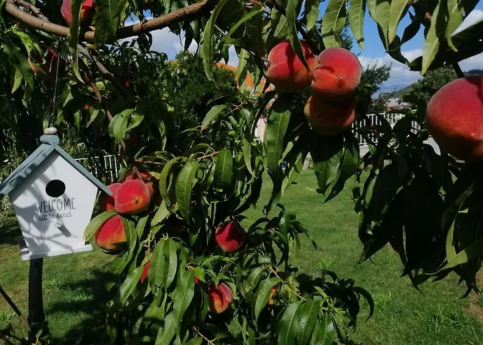 Casa Victoria Konukevi